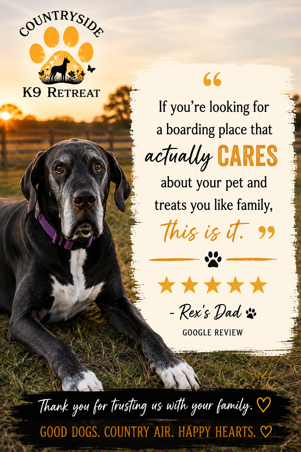 Five-star review from Rex’s dad about caring for dogs like family